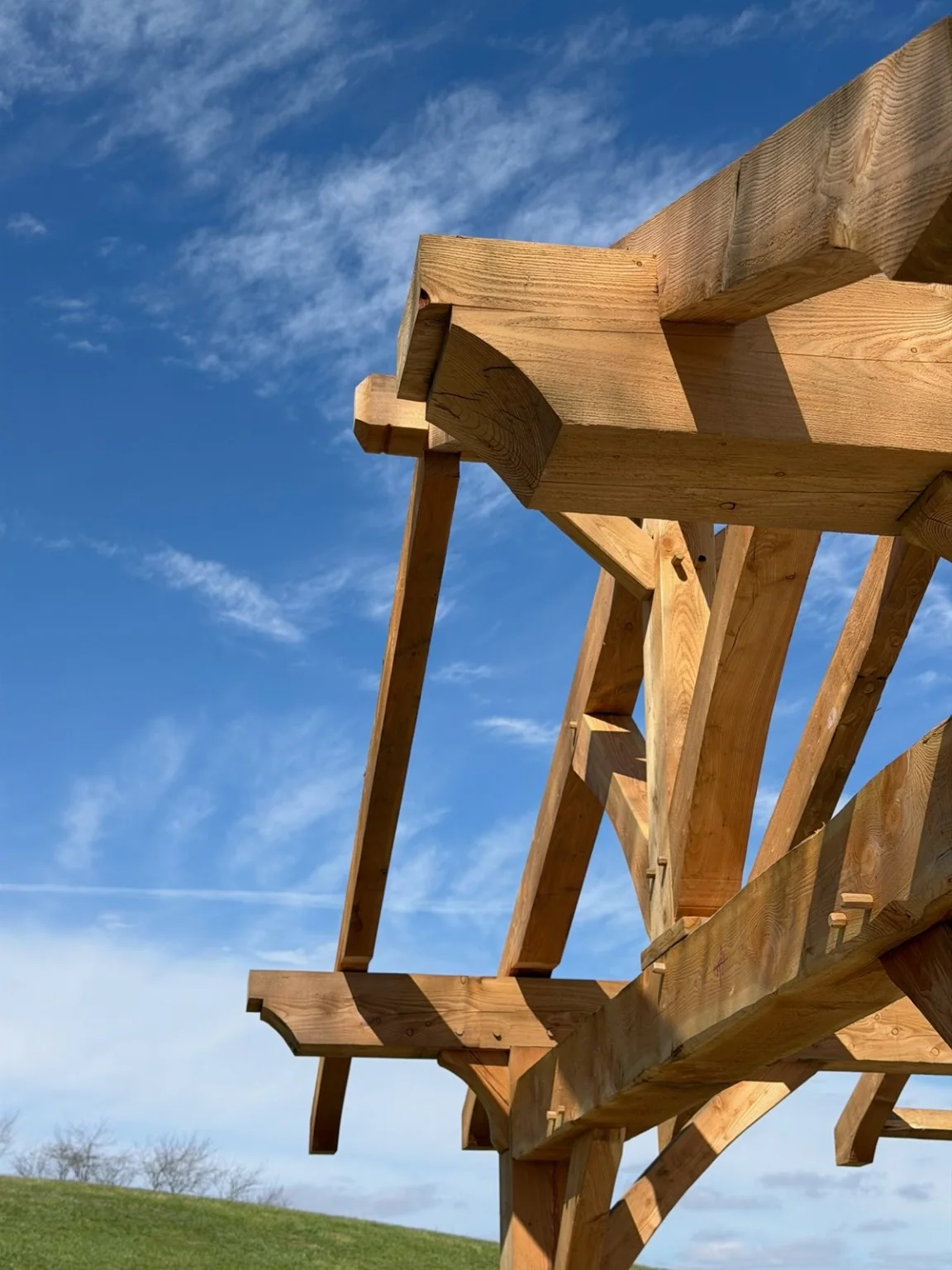 Open timber rafters and traditional joinery detail against blue sky